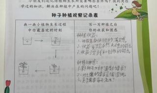 桃花的植物记录卡怎么写